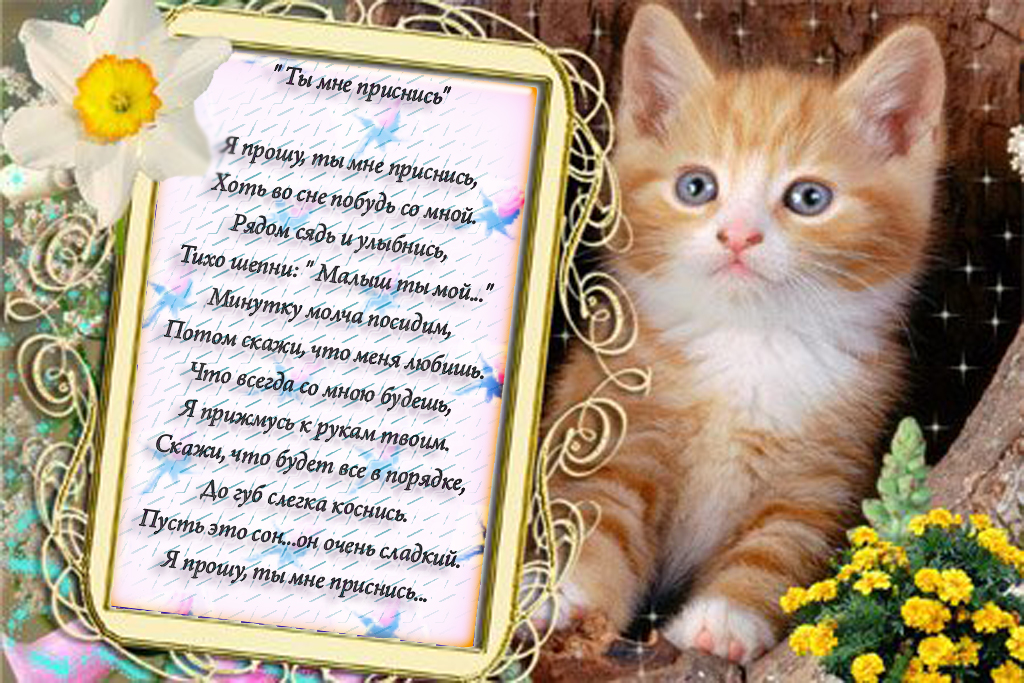 Стих вы мне снитесь Стих вы мне снитесь